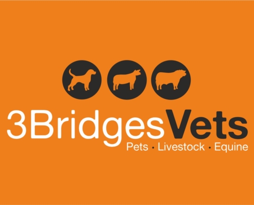 3 Bridges Vets